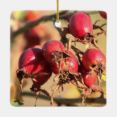 Wild Roos Hips-kerstversiering Keramisch Ornament (Achterkant)