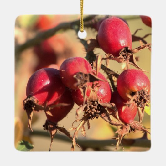Wild Roos Hips-kerstversiering Keramisch Ornament (Achterkant)