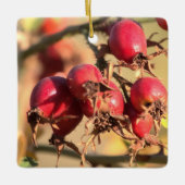 Wild Roos Hips-kerstversiering Keramisch Ornament (Voorkant)
