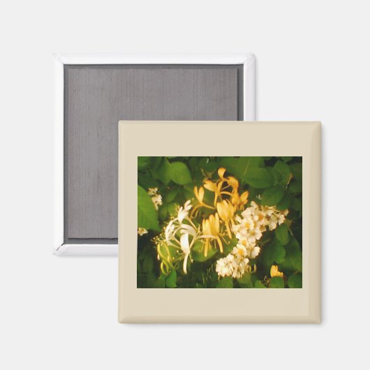 Wild Roos Honeysuckle Refkoelkast Magnet (Voorkant / Achterkant)