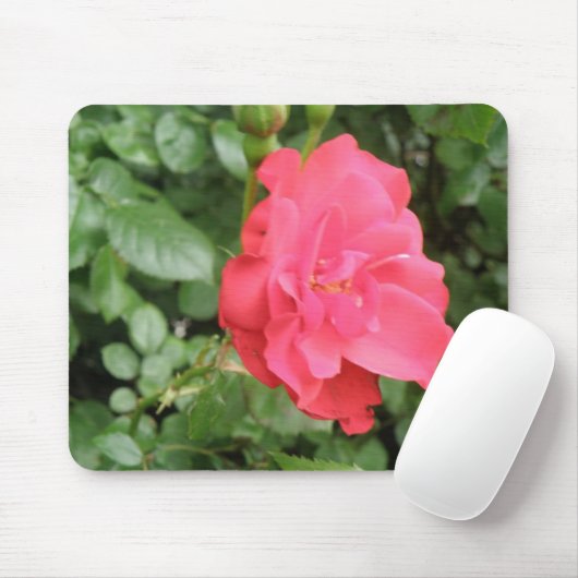 Wild Roos Mousepad Muismat (Met muis)