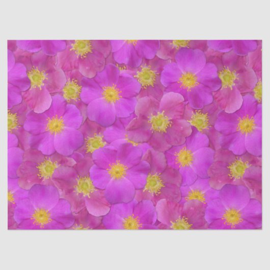 Wild Roos naadloos patroonpatroon Tissuepapier (Voorkant)