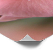 Wild Roos Poster — Schitterende, vlakke kunstafdru (Hoek)