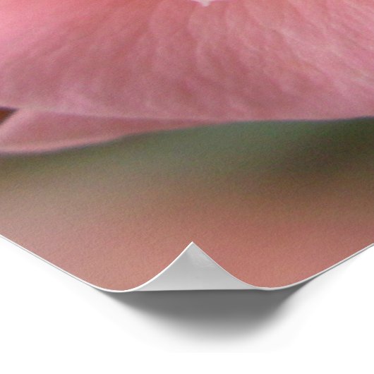 Wild Roos Poster — Schitterende, vlakke kunstafdru (Hoek)