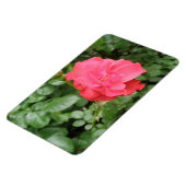 Wild Roos Premium Magnet Magneet (Linkerzijde)