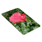 Wild Roos Premium Magnet Magneet (Rechterzijde)