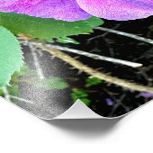 Wild Roos print Foto Afdruk (Hoek)