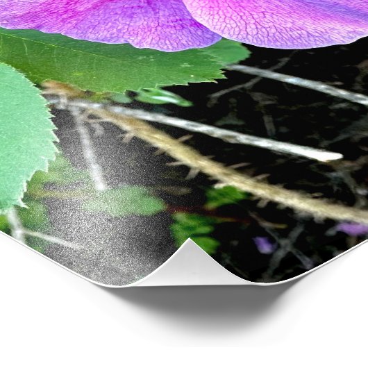 Wild Roos print Foto Afdruk (Hoek)