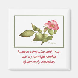 Wild roos roze waterverf bloemsymbool magneet