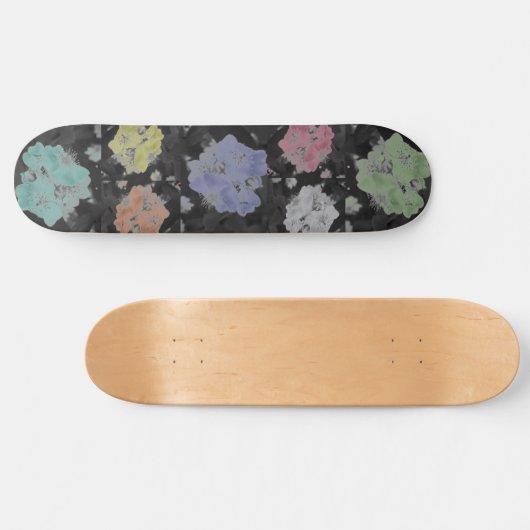 Wild Roos Skateboard (Horizontaal)