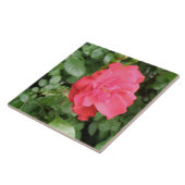 Wild Roos Tile Tegeltje (Zijkant)