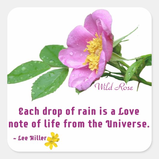 Wild Roos Wildflower Rain Quote Vierkante Sticker (Voorkant)