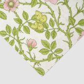 Wild roses and butterflies /pink/pale green/yellow tissuepapier (Detail)