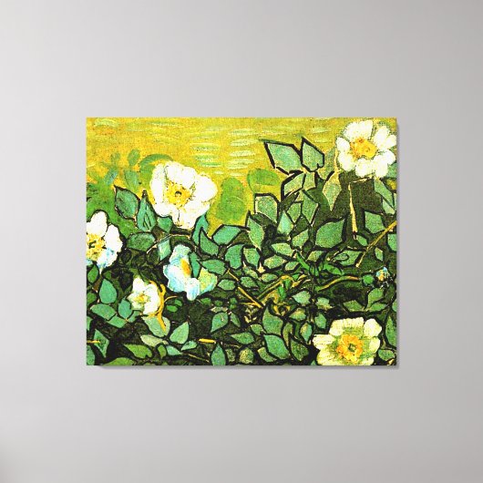Wild Roses, popular painting by Vincent van Gogh Canvas Afdruk (Voorkant)