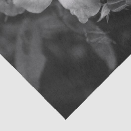 Wild roses  tissuepapier (Detail)