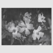 Wild roses  tissuepapier (Voorkant)