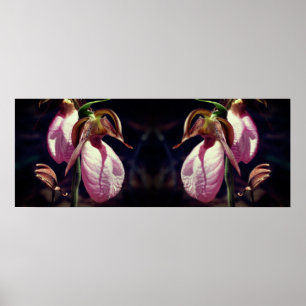 Wild Roze Dame Slipper Orchidee Pair Spiegel Poster