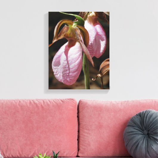 Wild Roze Lady Slipper Orchid Paar Sluiten Canvas Afdruk (Insitu (Woonkamer))