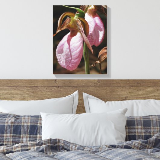 Wild Roze Lady Slipper Orchid Paar Sluiten Canvas Afdruk (Insitu (Slaapkamer))