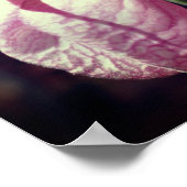 Wild Roze Lady Slipper Orchid Paar Sluiten Poster (Hoek)