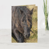 Wild Sable Island Stallion's Mane Wenskaarten Bedankkaart (Voorkant)