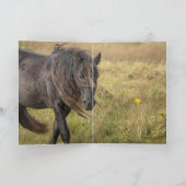 Wild Sable Island Stallion's Mane Wenskaarten Bedankkaart (Binnen)
