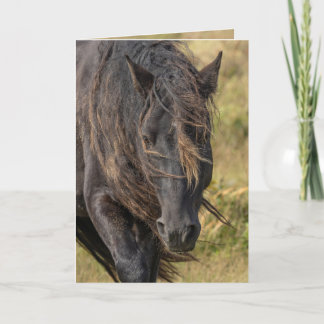 Wild Sable Island Stallion's Mane Wenskaarten Bedankkaart