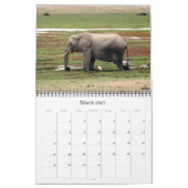 Wild Safari 2025 Kalender (Mar 2027)
