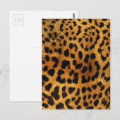 wild Safari animal cheetah girly leopard print Briefkaart (Voorkant / Achterkant)