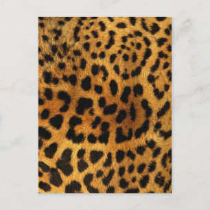 wild Safari animal cheetah girly leopard print Briefkaart