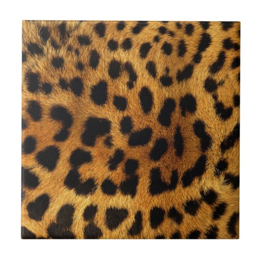 wild Safari animal cheetah girly leopard print Tegeltje (Voorkant)