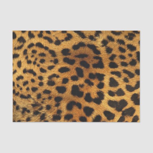 wild Safari animal cheetah girly leopard print Tissuepapier (Voorkant)