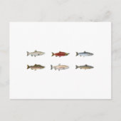 Wild Salmon Briefkaart (Voorkant)