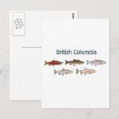 Wild Salmon Briefkaart (Voorkant / Achterkant)