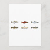 Wild Salmon Briefkaart (Voorkant)