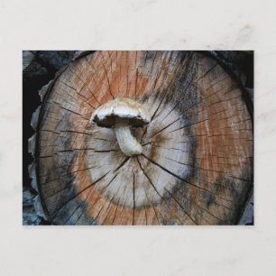 Wild Shiitake Mushroom op log Briefkaart