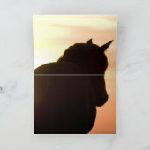 Wild Silhouette Wild Horse Wenskaart Kaart (Binnen)