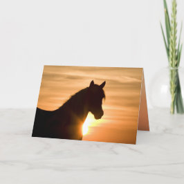 Wild Silhouette Wild Horse Wenskaart Kaart
