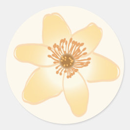 Wild Sinaasappel Anemone Flowers - botanische teke Ronde Sticker