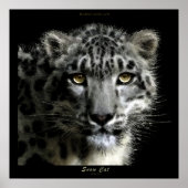 WILD SNEEUW LEOPARD Art Print (Voorkant)