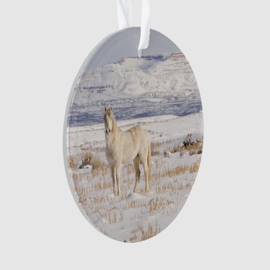 Wild Snow Stallion Ornament (voorkant)