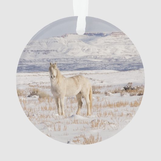 Wild Snow Stallion Ornament (achterkant)