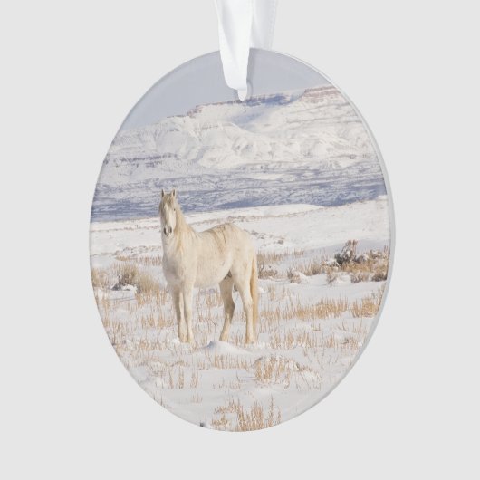 Wild Snow Stallion Ornament (voorkant)