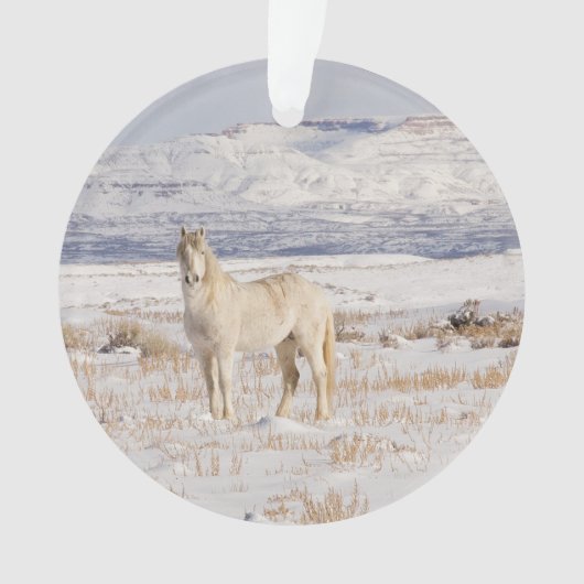 Wild Snow Stallion Ornament (voorkant)