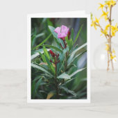 Wild Spaans Nerium Oleander Plant Kaart (Gele Bloem)