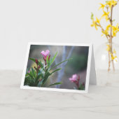Wild Spaans Nerium Oleander Plant Kaart (Gele Bloem)