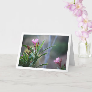 Wild Spaans Nerium Oleander Plant Kaart