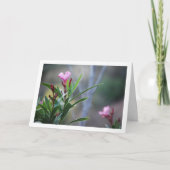 Wild Spaans Nerium Oleander Plant Kaart (Voorkant)