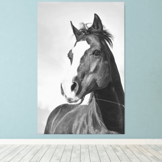 Wild Spirited Horse Zwart en Wit Canvas Afdruk (Insitu (Houten vloer))