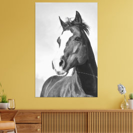 Wild Spirited Horse Zwart en Wit Canvas Afdruk